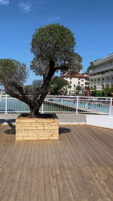 Hotel Morena Riccione