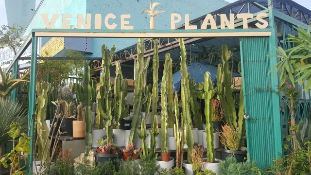 Venice Plants