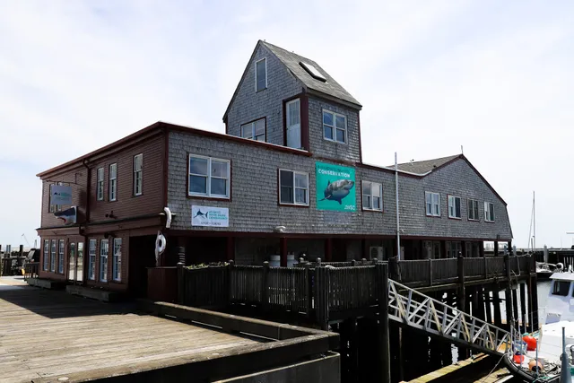 AWSC Shark Center Provincetown