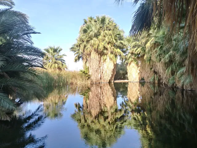 Old Fogey Hot Springs
