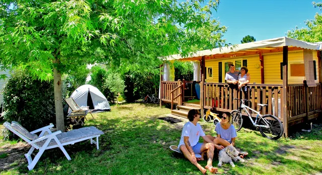 Camping Landes - Camping Moïsan À Messanges