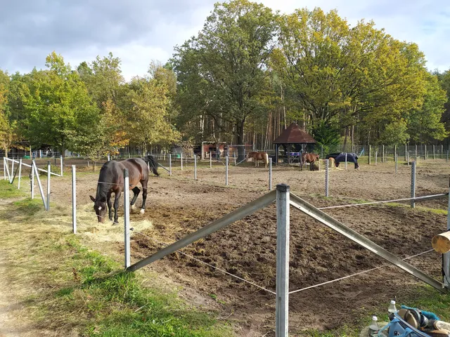 Pension zum Reiterhof