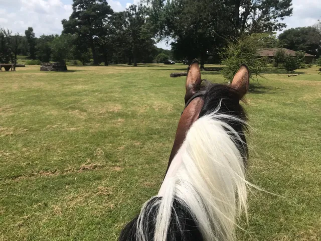 Brunson Equestrian Center @ Texas Rose Horse Park