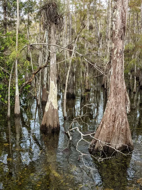 Big Cypress National Preserve
