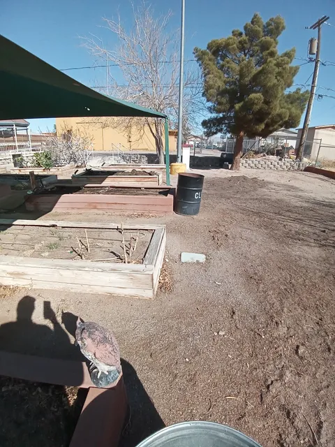 City of Las Vegas Community Garden