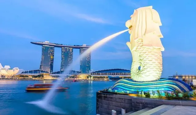 Merlion Cub