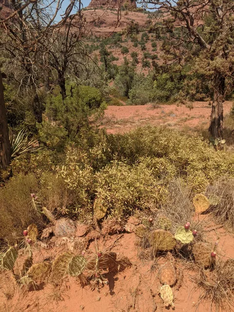 Schnebly Hill Trailhead
