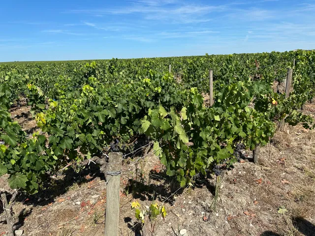 Château Boyd-Cantenac