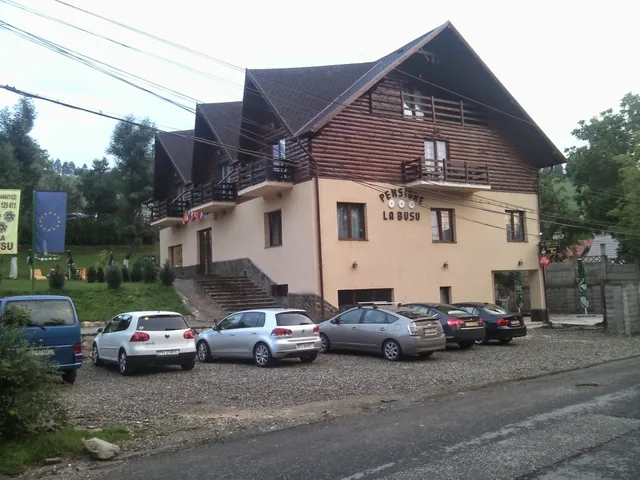 HOUSE ... TO BUSU .... BRAN