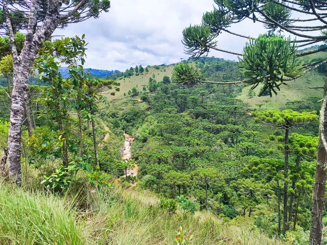 Parque estadual Campos Do Jordão