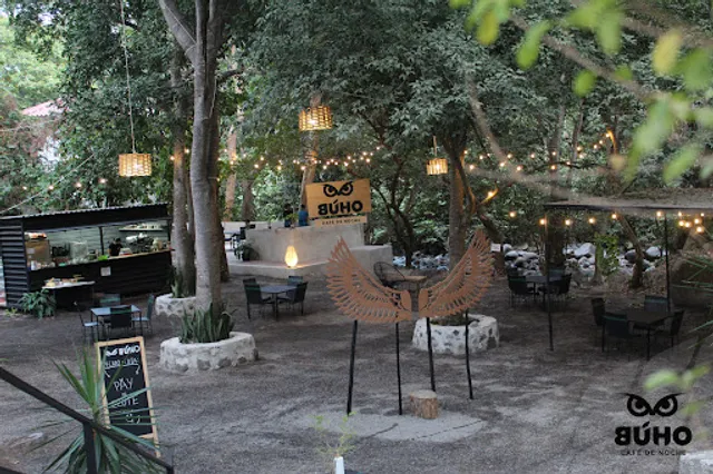 Búho café de noche