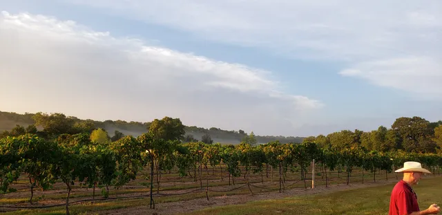 En Gedi Vineyards and Winery