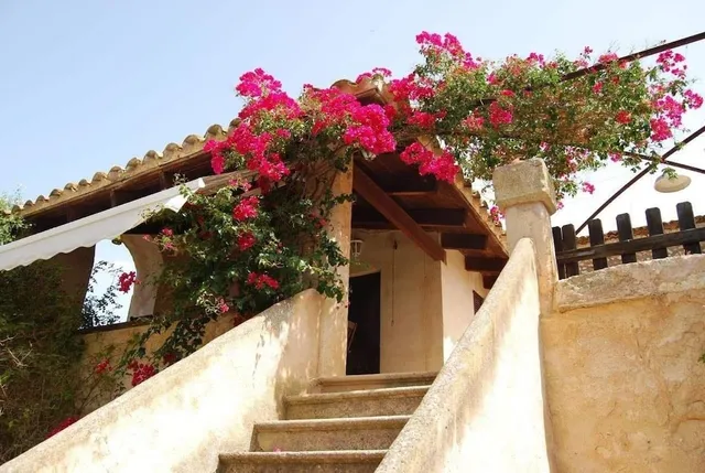 Finca Son Vivot - Agroturismo