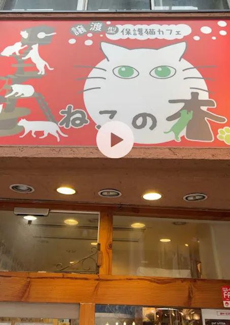 Cat Cafe nekonoki