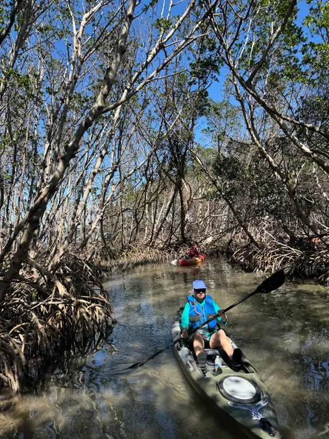 Wandering Adventures Kayak Tours