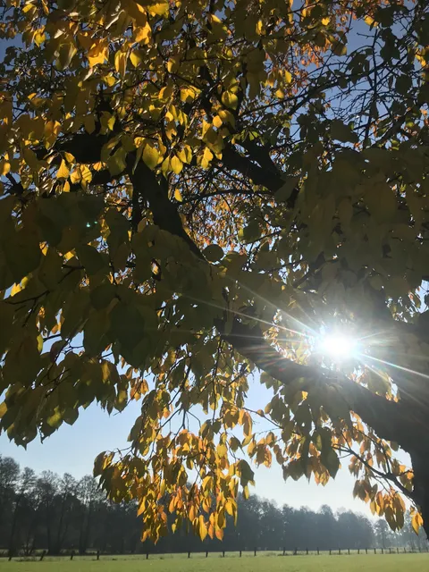 Naturpark Fläming/Sachsen-Anhalt