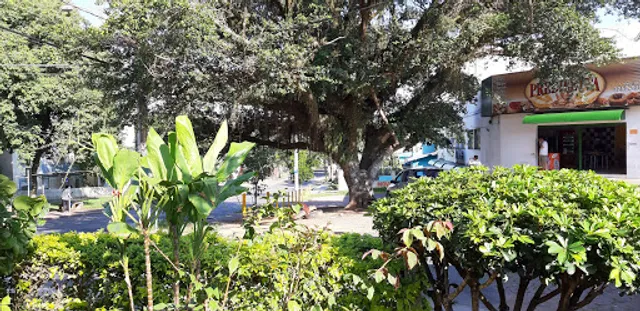 Bar E Lancheria Schneider