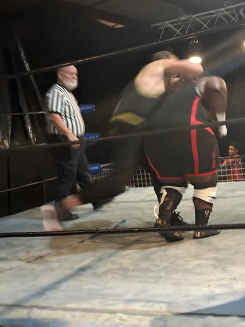 Pro South Wrestling