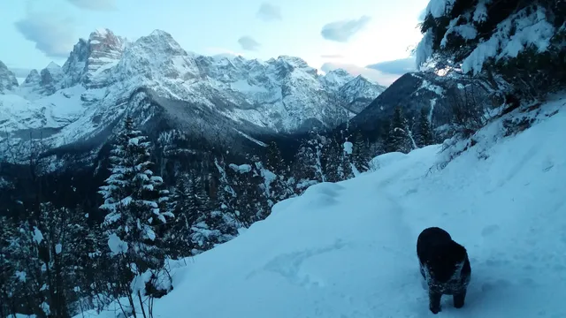 Condominio Residenza Gran Panorama