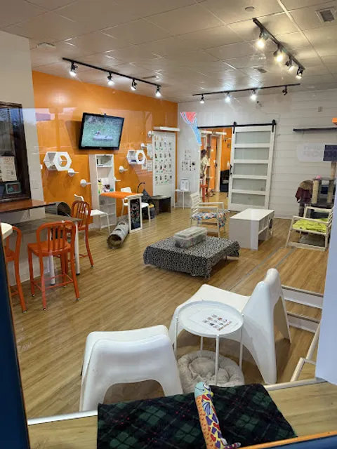 Mew Haven Cat Cafe