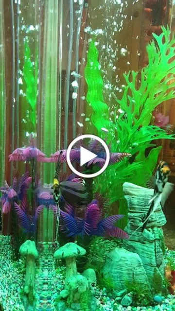 전주환영영양돌솥밥