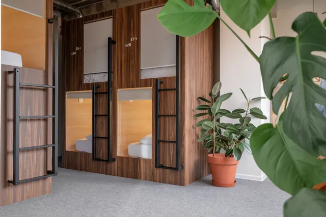 Plants & Friends мини-отель