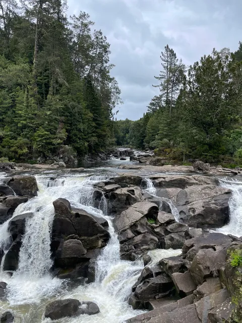 McLaren Falls Park