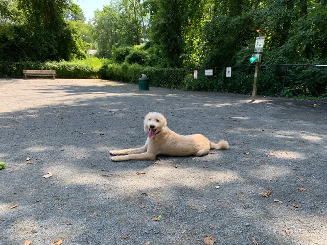 Vienna Dog Park