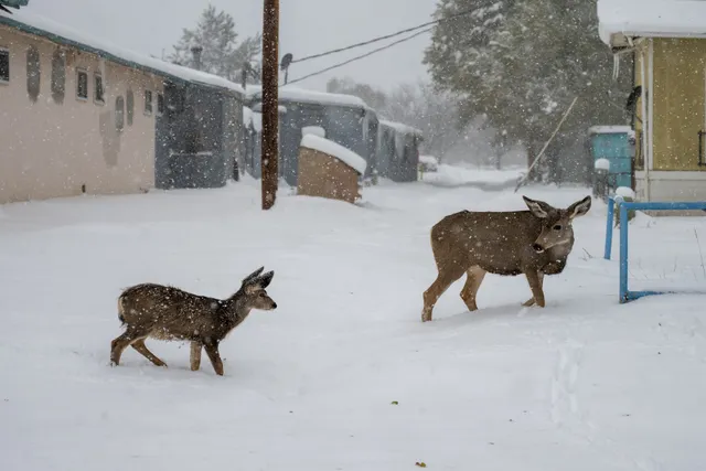 Raton Downtown Historic District