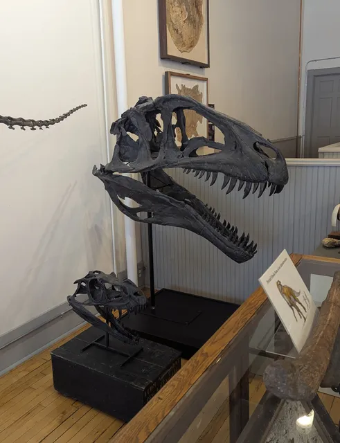 Southern Minnesota Museum of Natural History