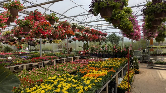 Darby Creek Nursery