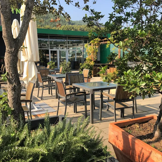 EL TAP ( bar - restaurant - copes )