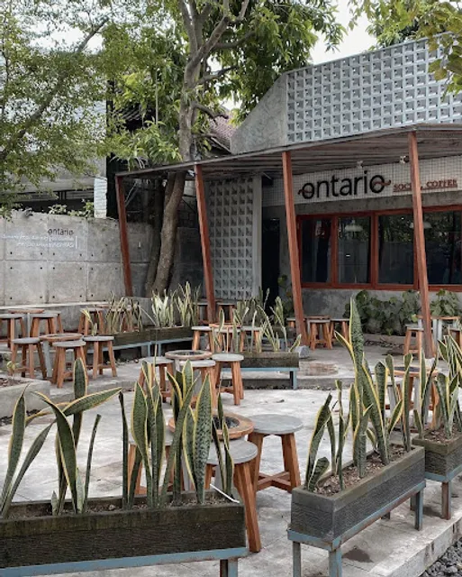 Ontario Social Coffee