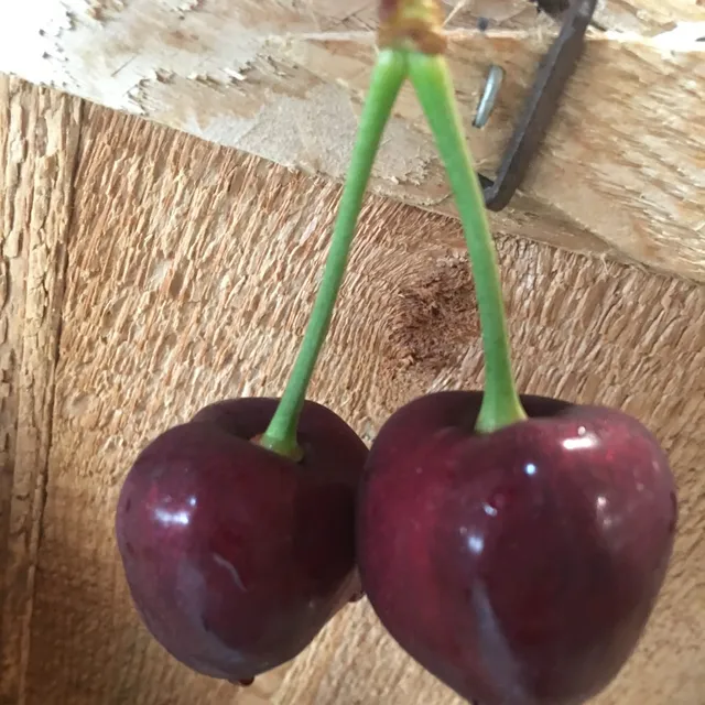 Seaquist Orchards Farm Market