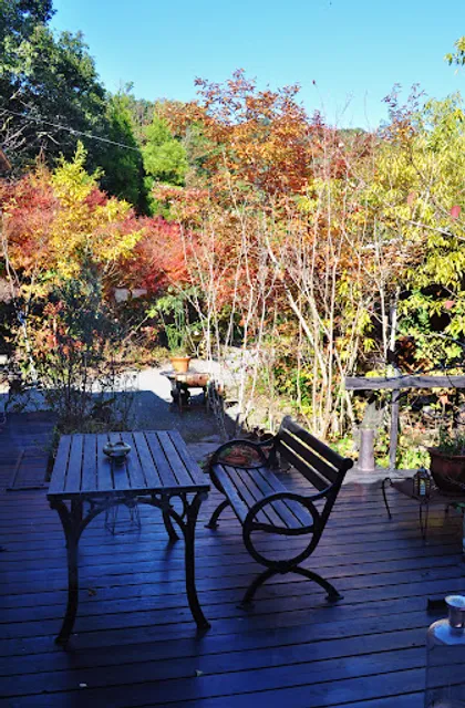 ランチの店 さく羅