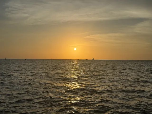 ParrotDise Express Boat Tours