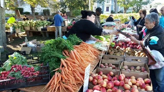 Melrose Farmer's Market