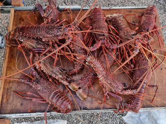 Offshore Charters WA