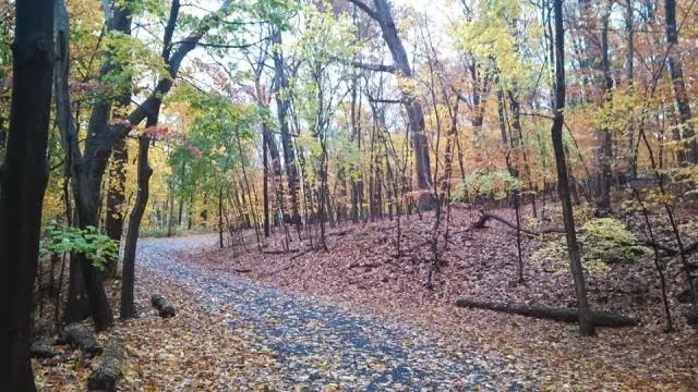 Deer Park Camp & Retreat Center