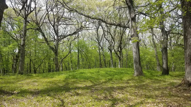 Woodland Mounds State Preserve