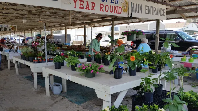 Oak Hill Flea Market