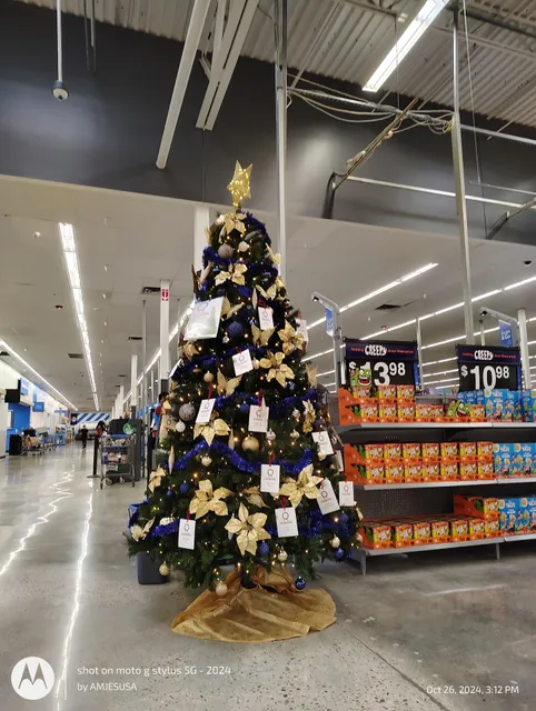 Iron Bridge Plaza Shopping Center