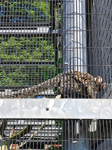 Animal Education Centre