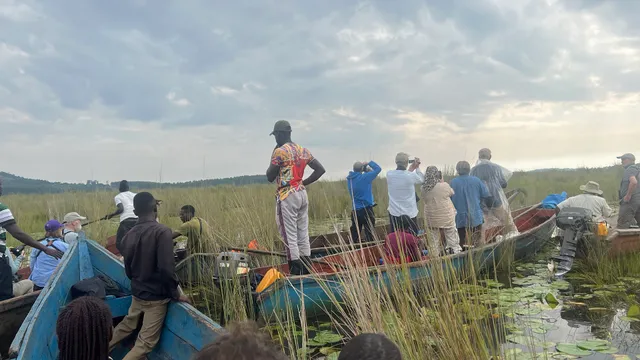 Mabamba Swamp Shoebill Site