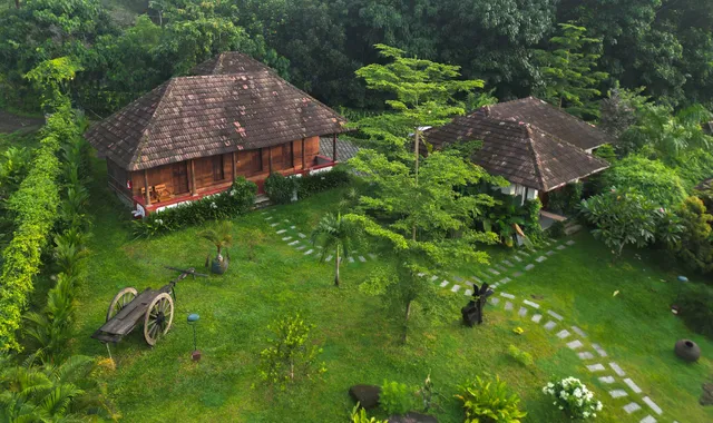 Into the Roots Farm Stay