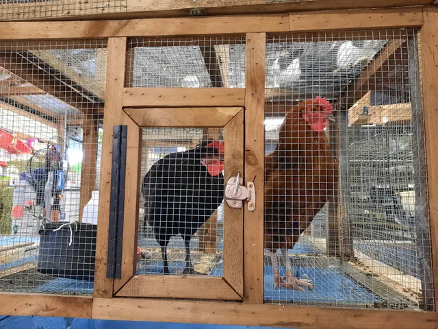 Deep Creek Game Farm and Feed Store