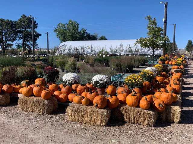 Heidrich's Colorado Tree Farm Nursery