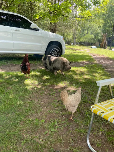 Beaverwood Farm (no children)