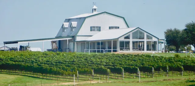 Blue Ostrich Winery & Vineyard