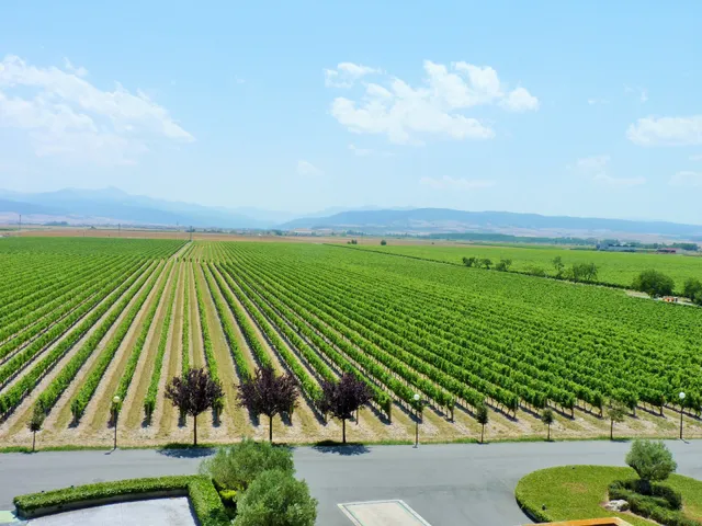 Bodegas Finca La Emperatriz